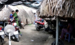 Vụ 2 