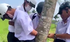 Vụ 7 học sinh dàn dựng đánh nhau để quay clip: Sở GD&ĐT Cà Mau chỉ đạo