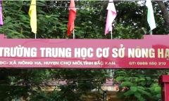 Vụ học sinh lớp 7 ở Bắc Kạn không biết chữ: Nữ hiệu trưởng nói gì?