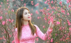Lịch nghỉ Tết Nguyên đán Giáp Thìn 2024: Người lao động được nghỉ bao nhiêu ngày?