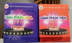 Người dân được đốt loại pháo hoa nào dịp Tết Nguyên đán Giáp Thìn 2024?