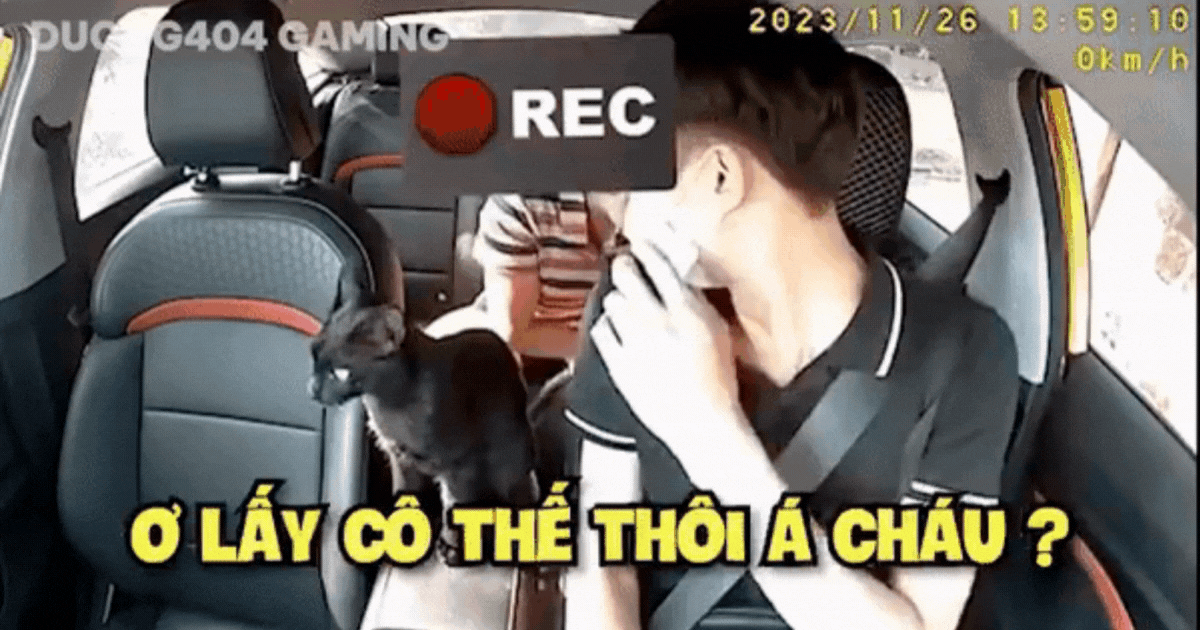 Vừa tỏ thái độ hắt hủi chú mèo, nam tài xế có màn 