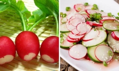 Củ cải đường nhiều tinh bột liệu có 