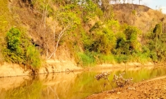 Vụ 3 nữ sinh Gia Lai chết đuối trên sông Ayun: Thi thể tìm thấy ở đâu?