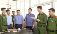 Lai Châu: Khởi tố 1 đăng kiểm viên Trung tâm Đăng kiểm xe cơ giới tội “Nhận hối lộ”