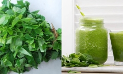 Nước ép rau ngót có tốt cho sức khỏe không?