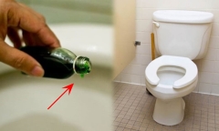 Nhỏ dầu gió vào bồn cầu có tác dụng gì?