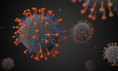 Trung Quốc ghi nhận dịch virus mới, đã có 35 người lây nhiễm