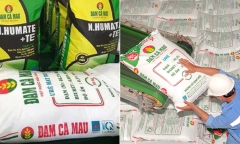 Đạm Cà Mau muốn mua công ty phân bón thuộc sở hữu của tập đoàn Hàn Quốc