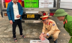 Tin thời sự nóng mới nhất ngày 16/1: Xe tải chở 4 tấn gà đông lạnh không rõ nguồn gốc