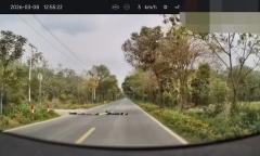 Clip: 4 đứa trẻ nằm im giữa đường giả làm 