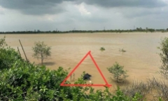 Thi thể nam giới nổi trên sông Trà Lý, Thái Bình: Khoảng 45 tuổi, mặc áo màu đen
