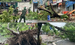 Hà Nội: Cây xanh đổ la liệt trên nhiều tuyến phố, tập trung khắc phục hậu quả sau bão số 3