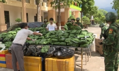 Bắt đối tượng liều lĩnh vận chuyển trái phép ma túy, thu giữ 240kg cần sa khô