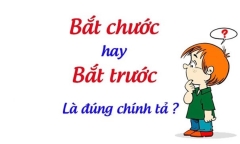 Bắt trước hay bắt chước, từ nào mới đúng chính tả?