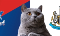 Dự đoán kết quả trận Crystal Palace vs Newcastle, Ngoại hạng Anh 22h ngày 30/11: Mèo tiên tri nói gì