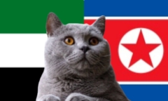 Nhận định soi kèo trận UAE vs Triều Tiên, 23h ngày 10/10: Mèo tiên tri đúng đắn