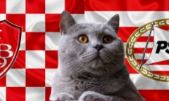 Dự đoán kết quả trận Brest vs PSV, Champions League 3h ngày 11/12: Mèo tiên tri như chuyên gia