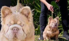 Ngỡ ngàng với vẻ đẹp 
