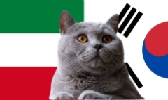 Dự đoán kết quả trận Kuwait vs Hàn Quốc, VL World Cup 21h ngày 14/11: Mèo tiên tri cũng “sợ”
