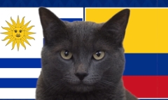 Nhận định, soi kèo trận Uruguay vs Colombia, Copa America 2024 7h ngày 11/7: Mèo Cass theo số đông