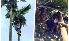 Làm giàu bằng nghề độc lạ: