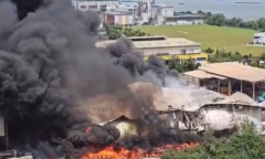 Clip: Cận cảnh con trăn khổng lồ dài 7,3 mét, siết tử vong một người đàn ông trên đường về nhà