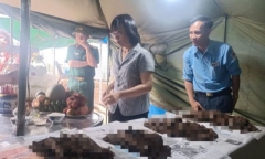 Đào móng làm nhà, phát hiện hố chôn 37 bộ hài cốt ở Gia Lai