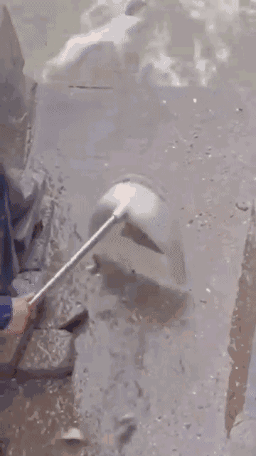 Video: Ngỡ ngàng trước kỹ năng bắt cá bằng tay điêu luyện của người đàn ông