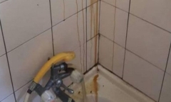 Chất lạ màu vàng chảy đầy tường phòng tắm, cô gái hoảng hồn đi kiểm tra, phát hiện điều ngỡ ngàng