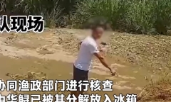 Vợ khoe video về con cá lạ lên mạng, chồng bị cảnh sát “sờ gáy” vì lý do đầy ngỡ ngàng