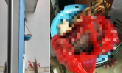 Người phụ nữ tái mặt báo cảnh sát vì tưởng xác đứa trẻ bị bỏ trước nhà hàng xóm, sự thật đầy kinh ngạc