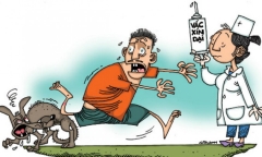 Nghệ An: Hai bệnh nhi tử vong nghi do bệnh dại