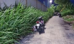 Người đàn ông tử vong bên chiếc xe máy đậu trên đường 