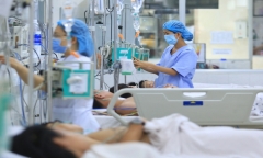 Sốt xuất huyết gia tăng, nguyên nhân từ đâu?