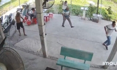 Long An: Đang ngồi nhậu, 4 người đàn ông bị ong đốt phải nhập viện