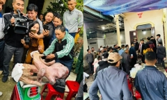 Chủ nhân cặp nhung nai 
