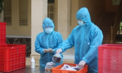 Sở Y tế TP.HCM huy động 4 nhóm tình nguyện viên chống dịch COVID-19