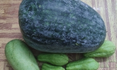 Mẹ nhắn nhủ “gửi quả bí đao nhỏ ăn nhé con”, cậu con trai giật mình ngã ngửa khi mở gói hàng ra