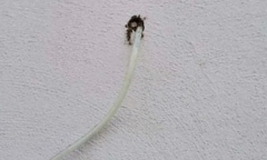 Nhà bốc mùi nồng nặc từ một lỗ nhỏ, người đàn ông kịp thời vạch trần âm mưu hiểm độc của gã hàng xóm
