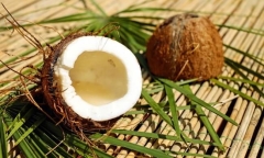 5 lợi ích của cơm dừa làm bạn chỉ muốn mua về dùng ngay