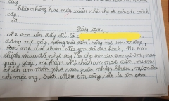 Bài văn bóc phốt 