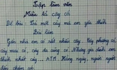 Bài văn tả cái cây của học sinh lớp 3 khiến cô giáo 