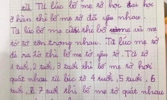 Học sinh miêu tả tình yêu của bố mẹ gây 