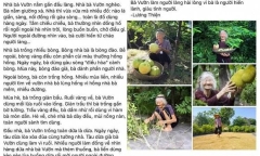 Bài văn miêu tả 