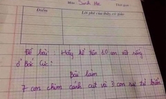 Yêu cầu 