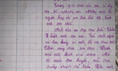 Bé gái miêu tả anh trai 