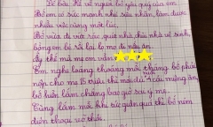 Bài văn miêu tả 