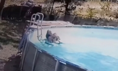 Người mẹ lên cơn động kinh trong bể bơi, thoát chết nhờ cậu con trai 10 tuổi
