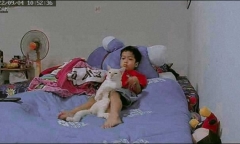 Mua mèo vì mong con trai hết 